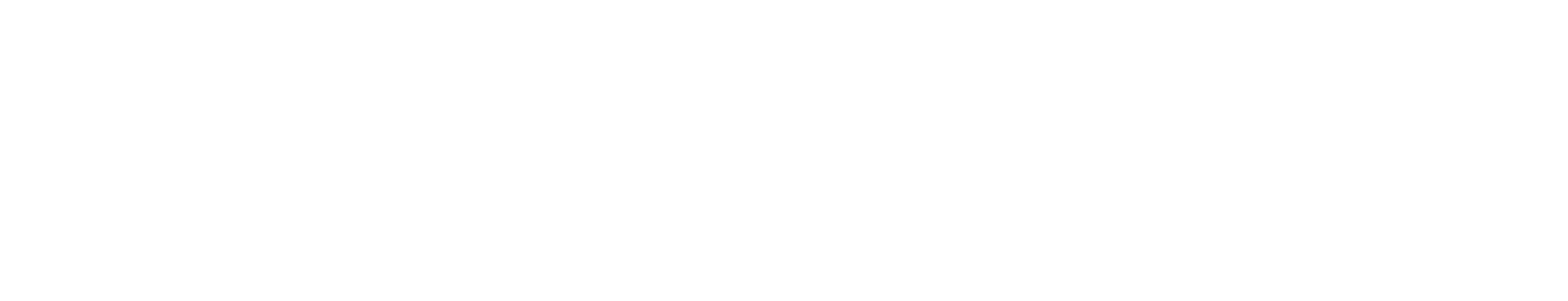HybridFluss